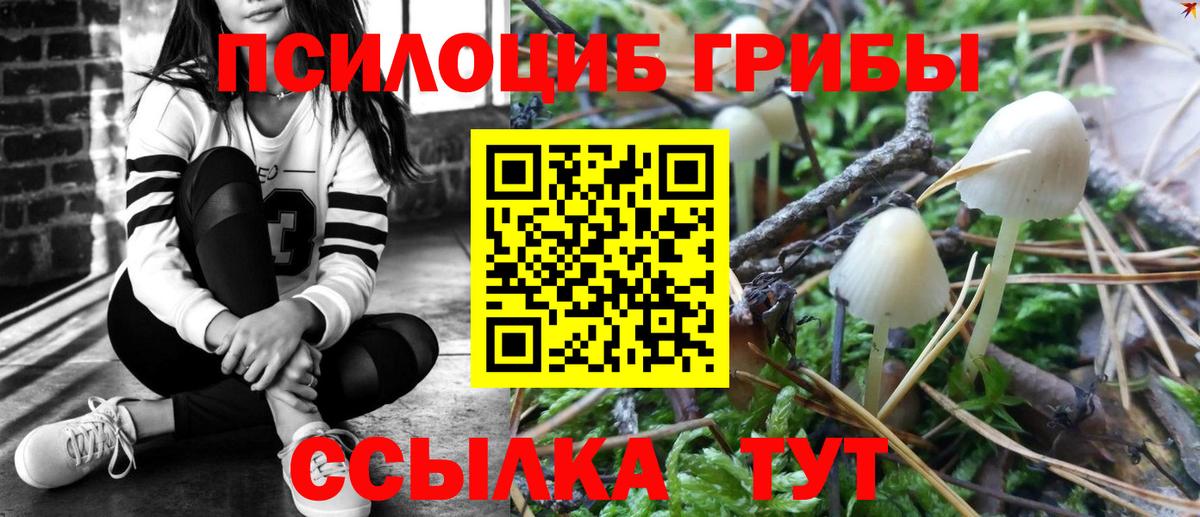 Псилоцибиновые грибы Magic Shrooms Ачинск