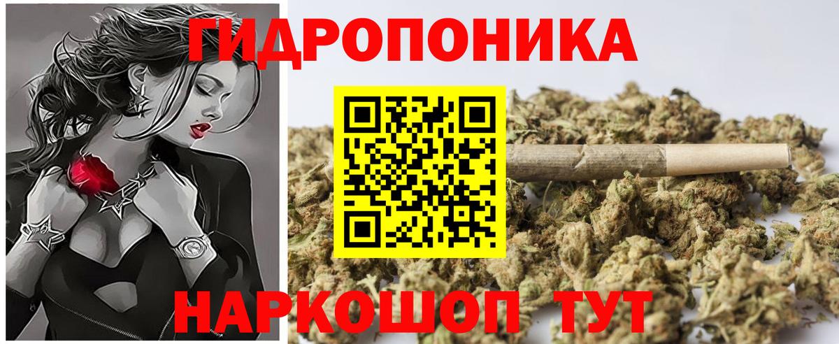 Марихуана конопля Ачинск